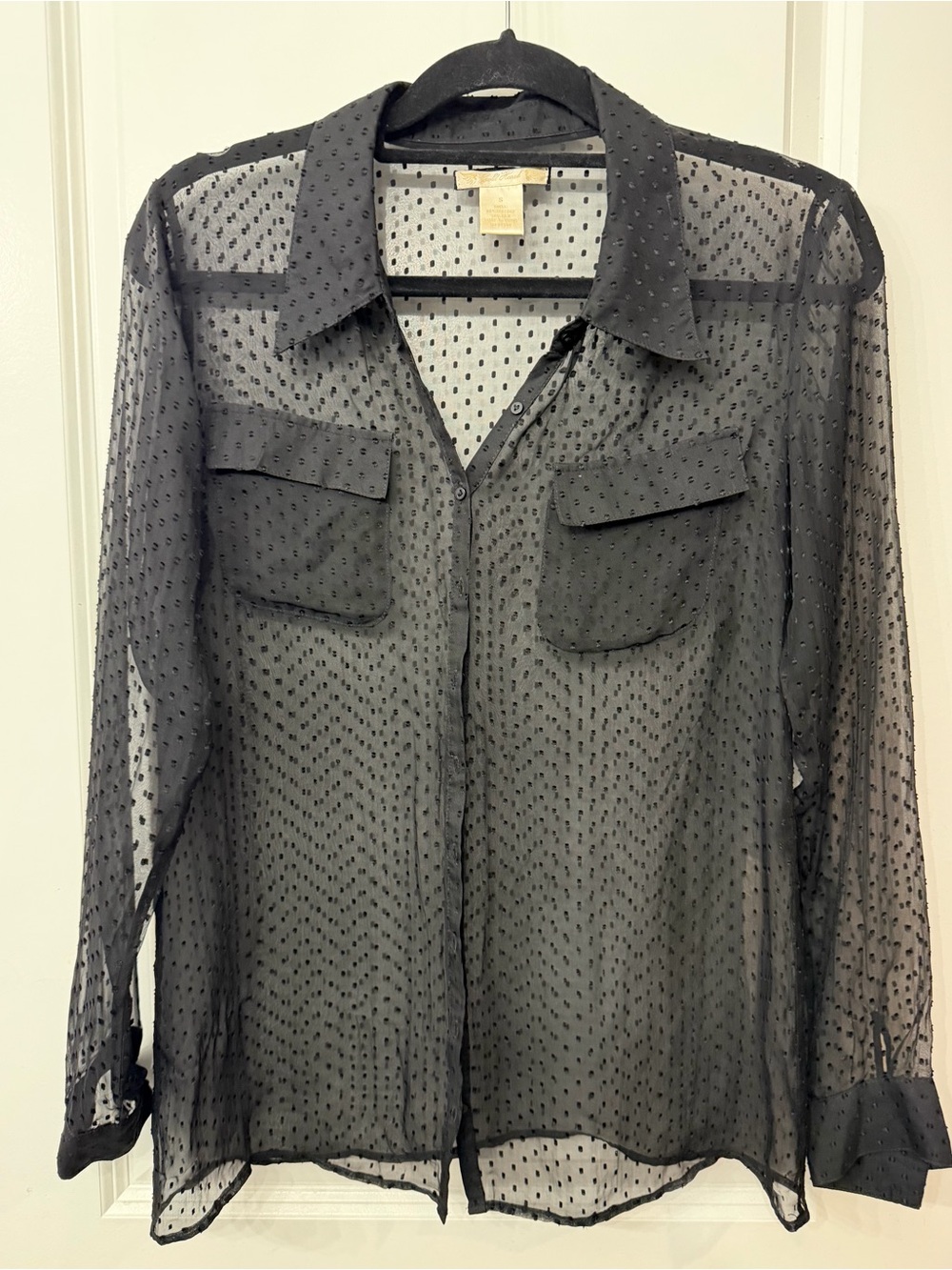 Gold Hawk Sheer Silk Blend Black Swiss Dot Blouse